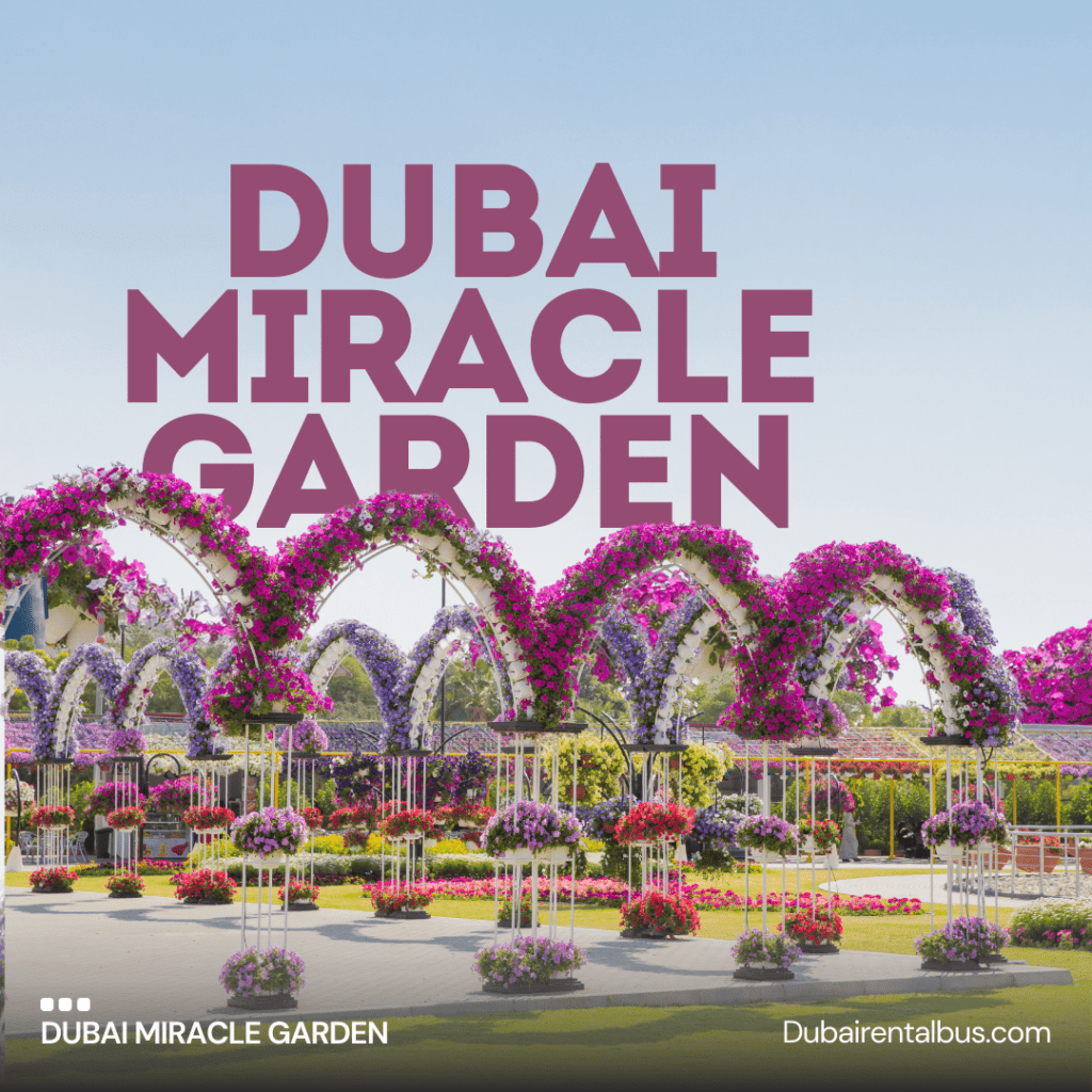 bus rental Dubai Miracle Garden