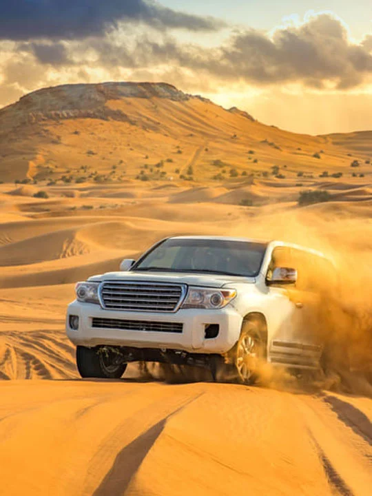 Safari Transportation